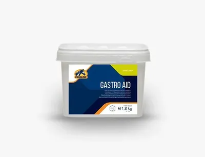 Produktbild von Cavalor Gastro Aid Paste 60g
