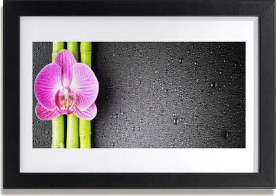 Produktbild von Bild 30x20 MDF-Rahmen Wandkunst Bamboo Orchid Blumen