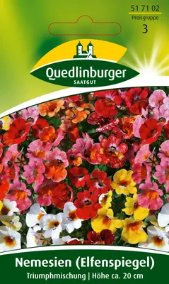 Produktbild von Quedlinburger Saatgut - Nemesie (Elfenspiegel) Triump - Samen - 517102
