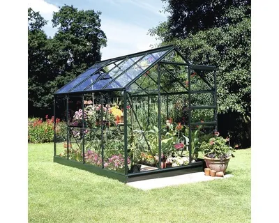 Produktbild von Gewächshaus Halls Popular 86 5,0m² Alu grün 3mm Blankglas