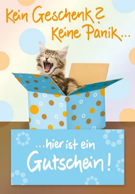 Produktbild von Gutschein Unverpackt Glückwunschkarte im Format 115x17cm mit Umschla