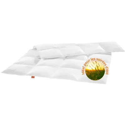 Image de couette ultra légère, 135 x 200 cm, couette d'été, idéale pour les nuits chaudes, convient aux allergiques, sleepling, Image générée par une IA