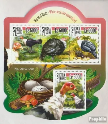 Produktbild von Briefmarken Sierra Leone 2015 Mi 6536-6539 Kleinbogen (kompl. Ausg.) postfrisch Weißbrustperlhühner