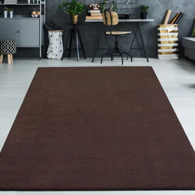 Image de Tapis à poils longs Doux Facile d'entretien Robuste Salon Chambre à coucher Couleur marron Dimensions : 120 x 160 cm