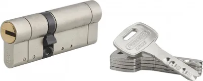 Image de Cylindre de serrure double entrée Federal S, 30x50mm, nickel, anti-arrachement, anti-perçage, 5 clés - THIRARD