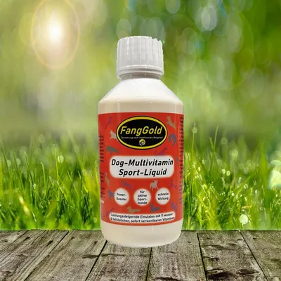 Produktbild von FangGold Dog-Multivitamin Sport-Liquid 250 ml