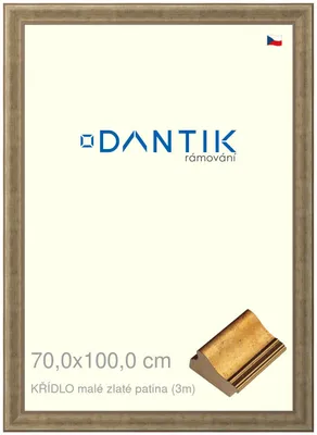 Obrázok produktu pre DANTIK rám 70x100 | WING small gold patina (Plexi Clear)