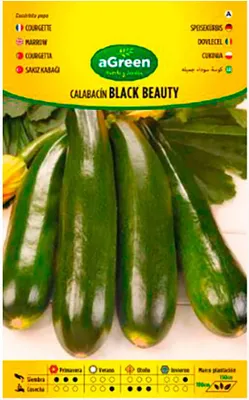 Immagine prodotto di Semi aGreen Zucchino Ecologico