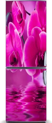 Produktbild von Tulup Kühlschrankdekoration - Magnetmatte - 70 cm x 190 cm - Magnet auf dem Kühlschrank - Rosa Orchidee