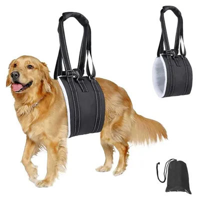 Imagen del producto de Arnés ajustable para perros, diseñado para brindar soporte a las patas traseras