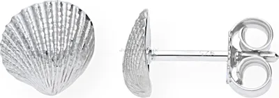 Produktbild von JuwelmaLux Ohrstecker Muschel Silber 925 JL20-06-0426
