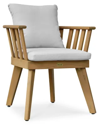 Image de Fauteuil de jardin avec coussins