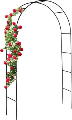 A black metal garden arch covered with red roses and green leaves, set against a white background.