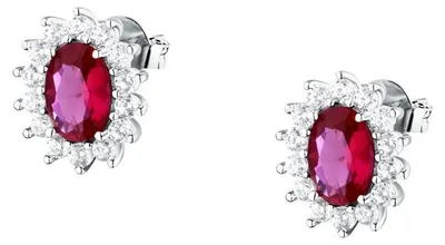 Immagine prodotto di Lussuosi orecchini a bottone in argento con zirconi Tesori SAIW287