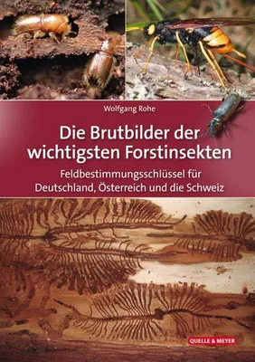 Obrázok produktu pre Die Brutbilder der wichtigsten Forstinsekten
