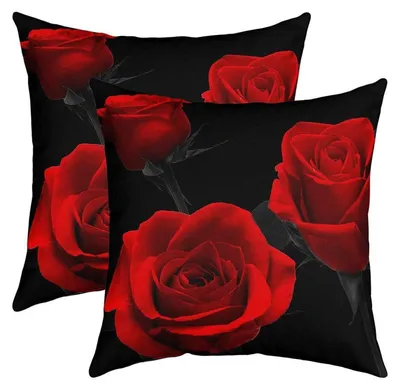 Immagine prodotto di Cuscini decorativi, 45x45 cm, motivo floreale a rose, set da 2, in poliestere, multicolore