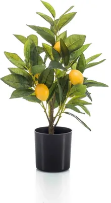 Produktbild von künstlicher Zitronenbaum im schwarzen Topf H. 40cm Emerald Topfpflanze