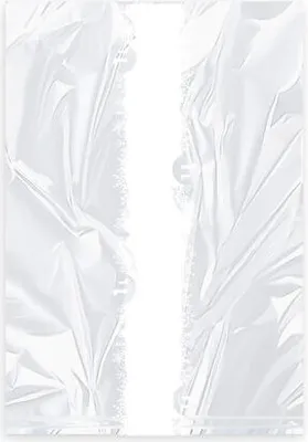 Produktbild von 2000x Gefrierbeutel mit Verschlussclips 'M' 200 x 300 mm 2 Liter LDPE