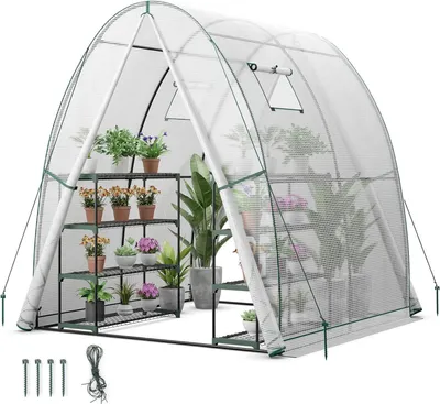 Produktbild von GOPLUS Gewächshaus, Tomatengewächshaus mit PE-Abdeckung & Metallrahmen, begehbares Foliengewächshaus mit Aufrollfenster & Aufrolltor (Transparent)
