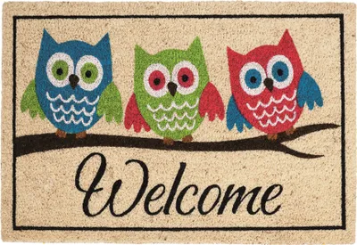 Produktbild von Betz Kokosmatte Fußmatte Fußabstreifer Schmutzfangmatte "3 Eulen Welcome" Farbe beige Größe 45x75cm