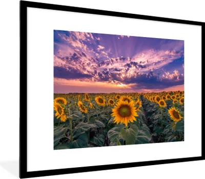 Produktbild von MuchoWow® Gerahmtes Poster Blumen - Himmel - Lila - Sonnenuntergang 80x60 cm - Poster mit Schwarzem Bilderrahmen Wandposter Rahmen Foto Bilder - Schlafzimmer-Dekorationen - Fotoposter