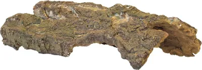 Produktbild von Hobby Bark Cave S, 19x5x8 cm