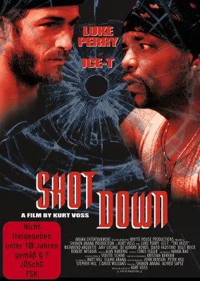 Produktbild von Shot Down