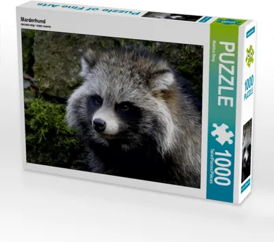 Produktbild von Calvendo Marderhund 1000 Teile Puzzle quer 640x480mm, Berg Martina; 7381075