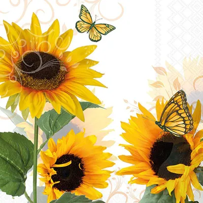 Produktbild von 20 Servietten Sunny Butterfly - Schmetterlinge an großen Sonnenblumen 33x33cm