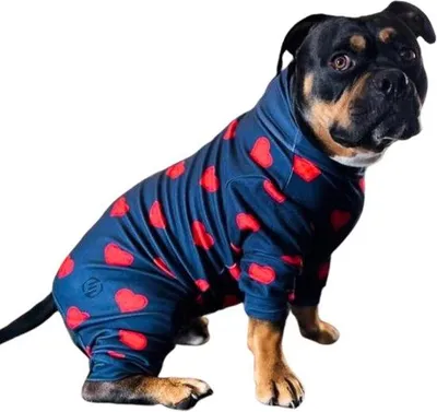 Produktbild von Hundepyjama - Hundetrui - Kleidung für Hunde - Grün - S