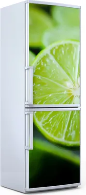 Produktbild von Magnete Dekorative - 70 cm x 190 cm - Küche - Magnetmatte Kühlschrankmagnete - Limetten Obst