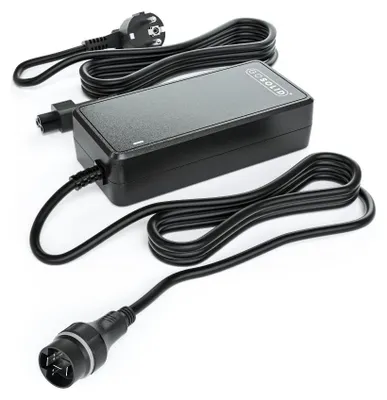 Produktbild von GO SOLID! Ladegerät PASC9 kompatibel mit Yamaha In-Tube 36V X1R-10 Akku