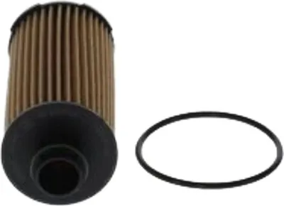 Immagine prodotto di Filtro olio BOSCH F 026 407 305