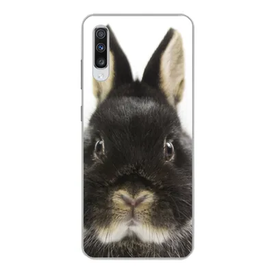 Produktbild von MuchoWow® Handyhülle Schutzhülle Hülle für Samsung Galaxy A70 Kaninchen - Haustiere - Fell Silikon Softcase Handy Hülle - Schutzhaube
