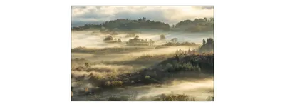 Produktbild von Muralo Fototapete Wald im Nebel 360 (B) x 240 (H) cm Vlies Tapete Wandtapeten Bäume Wohnzimmer Schlafzimmer moderne Wandbilder XXL Landschaft Panorama Wand Dekoration