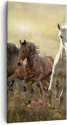 Produktbild von Bild auf Leinwand - Leinwandbild - Pferd Tier Natur - 55x100cm - Wand Bild - Wanddeko - Wandbilder - Leinwanddruck - Bilder - Kunstdruck - Wanddekoration - Leinwand bilder - Wandkunst - PA55x100-3640
