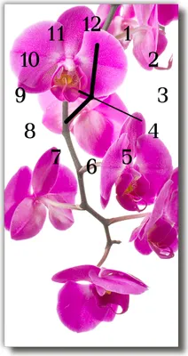 Produktbild von Tulup Glasuhr Wanduhr Küchenuhr Echt-Glas 30x60 Orchideen Rosa