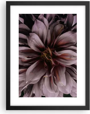 Produktbild von Gerahmtes Poster - Schwarzer Rahmen - Blumenstrauß Künstlerisch Blume - 30x40 cm - Wand Bild - Wanddeko - Wandbilder - Kunstposter - Wandposter - Bilderrahmen - Bilder - Kunstdruck - P2BPA30x40-5019