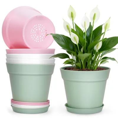 Immagine prodotto di Vasi da fiori con sottovaso, confezione da 6 pezzi, diametro 15 cm, in plastica colorata, adatti per cactus e piante aromatiche