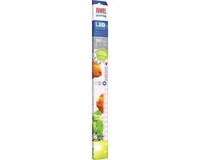 Image de Éclairage d'aquarium JUWEL LED Colour 11 W 590 mm