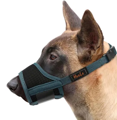 Immagine prodotto di Museruola per cani, realizzata in mesh traspirante e nylon, regolabile, taglia M, ideale per l'addestramento