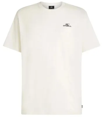 Produktbild von O'Neill Small Logo T-shirt Herren