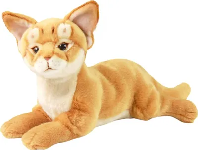 Produktbild von Kuscheltier Katze Abessinierkatze liegend 30 cm Plüschkatze