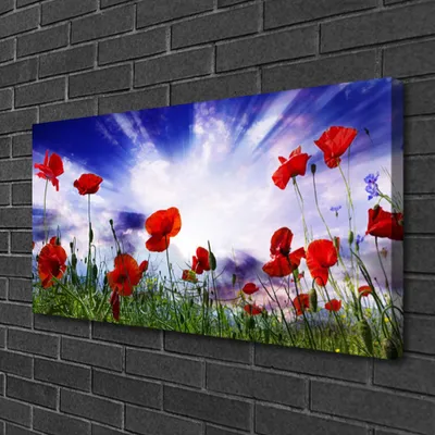 Produktbild von Tulup Leinwand-Bilder 100x50 Wandbild Canvas Kunstdruck Mohnblumen Natur