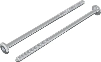 Image de vidaXL Vis 2 pcs argent M6 x 120 mm acier