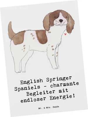 Produktbild von Mr. & Mrs. Panda Postkarte English Springer Spaniel Charme - Weiß - Geschenk, Grußkarte, Ansichtskarte, Familienhund, freundliche Art, Postkarten, Hunderassen, Vielfalt