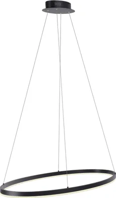 Produktbild von PAUL NEUHAUS LED-Pendelleuchte 2392-13 anthrazit, 38 W, 5150 lm, 3000 K