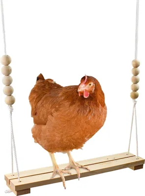 Obrázek produktu pro Houpačka pro kuřata z masivního dřeva, 1 kus, nastavitelná výška až 112 cm, pro kurníky, drůbežárny a papoušky