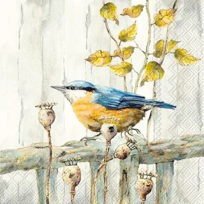 Produktbild von Servietten 33x33 cm - KANTORI cream