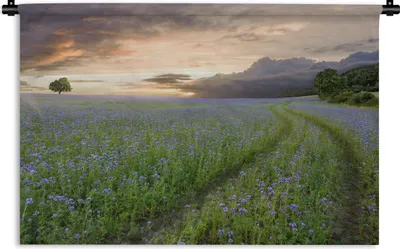 Produktbild von MuchoWow® Wandteppich Wandbehang Sonnenuntergang - Blumen - Farben 60x40 cm Tapisserie Dekoration Wandtuch - Wanddekorationen